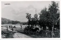 Prospektkort fra Kastnes i Dyrøy kommune. Kort fra 1910-1920