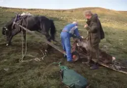 Fotosamling Jon J. Meli