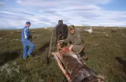 Fotosamling Jon J. Meli