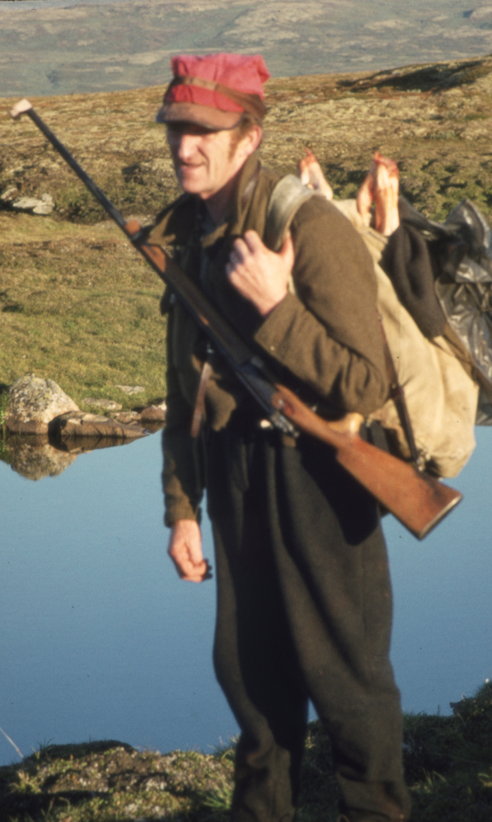 Reinsjakt, Petter Johaug.