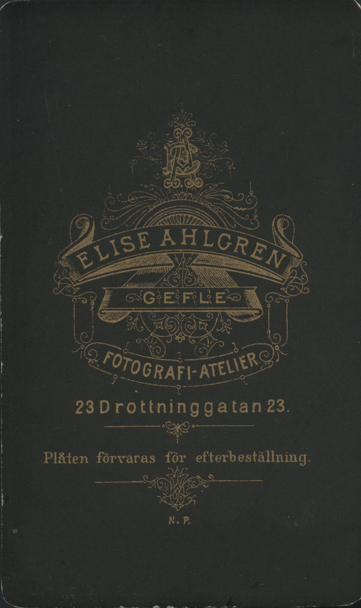Kvinnoporträtt.