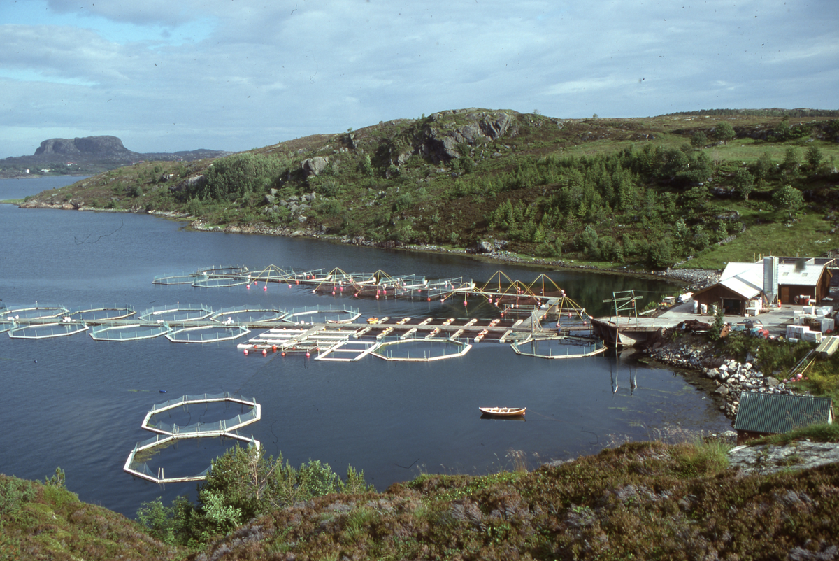 Akvaforsk, Averøy : Utsikt mot oppdrettsanlegg