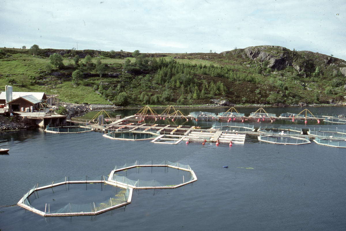Akvaforsk, Averøy : Utsikt mot oppdrettsanlegg