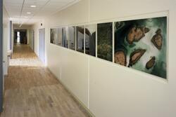 Det blir varmere og grønnere [Fotografi]