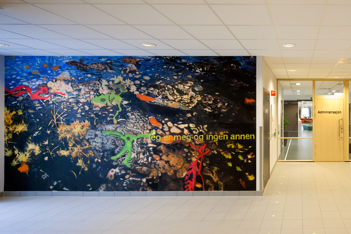 Utsmykkingen befinner seg I tverraksen av Rosenborg skole, i området mellom hovedinngangen i U-etasjen, trappeoppgang, og utgang til innegård i 2. etg.

Den nye Rosenborg skole har to innendørs utsmykkinger, men noe av kunsten er også synlig utenfra. Det gjelder bidraget fra Bo Bisgaard og Inghild Karlsen, som i fellesskap står bak en rekke skulpturer og store malerier i sentralrommet. De har gått bevisst inn for at verket deres særlig i mørketiden skal være lett å oppdage fra utsiden, både fra gata og fra gårdsplassen. Utsmykkingen fordeler seg over alle tre etasjer og har en vertikal akse med fotobaserte malerier på vegg fra inngangspartiet og opp gjennom trapperommet, samt hengende, lysende skulpturer i hver etasje. Maleriene i inngangspartiet har svære formater, opp i nesten ni meters bredde. Med farge- og motivvalg håper kunstnerne at de skal gi et inntrykk av letthet og optimisme, enten man betrakter dem i detalj på nært hold eller ser dem i helhet på avstand. Assosiasjonene går til himmellegemer og til natur både over og under vann. Fargesettingen er ungdommelig frisk og ”popaktig”. Dette preger også de 15 skulpturene. De fem største, som er litt over en meter høye, er støpt i et plastmateriale med fargepigmenter og er opplyst av innvendig lysarmatur. De blir på den måten lysende objekter med en lysstyrke som kan dimmes etter behov. Fargen er sterk oransje.