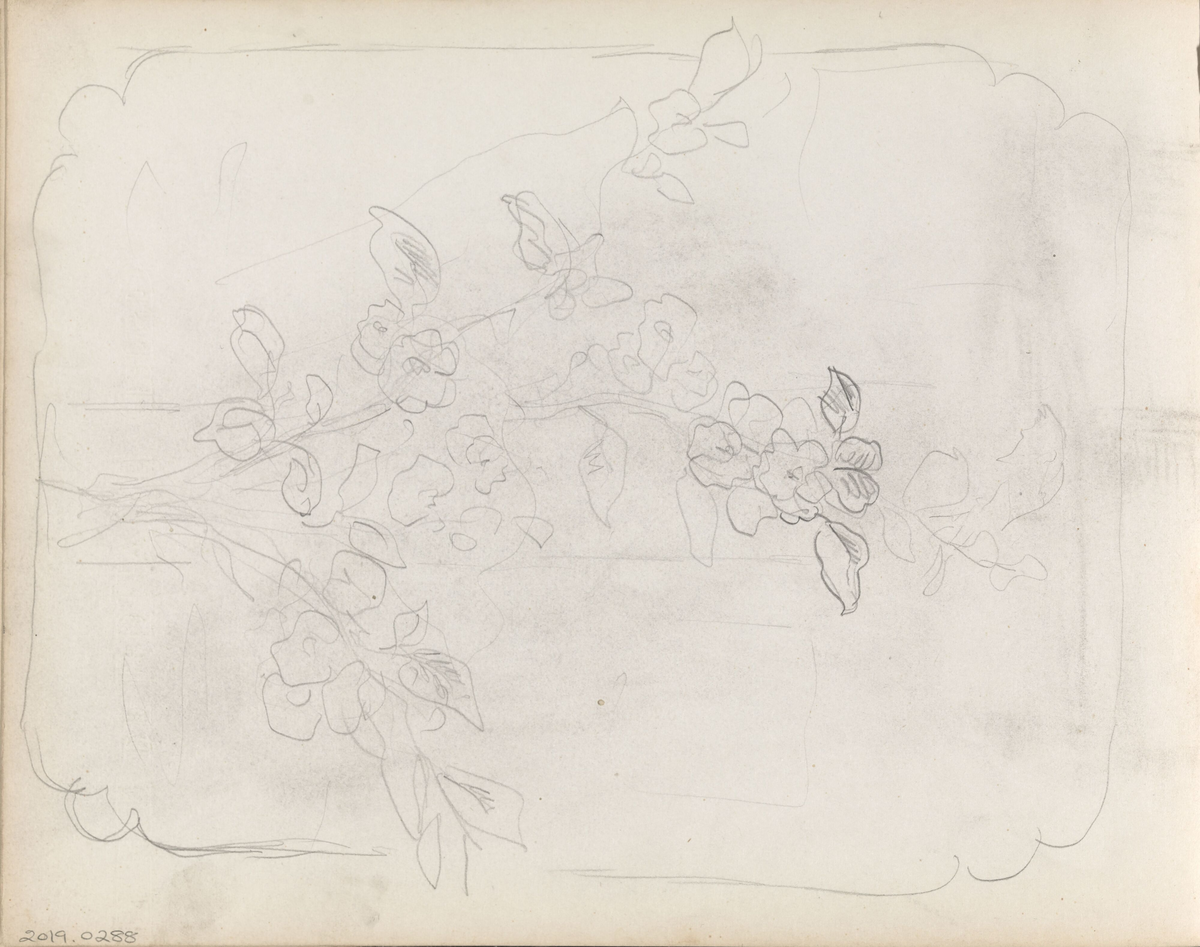 Blomster [Tegning]