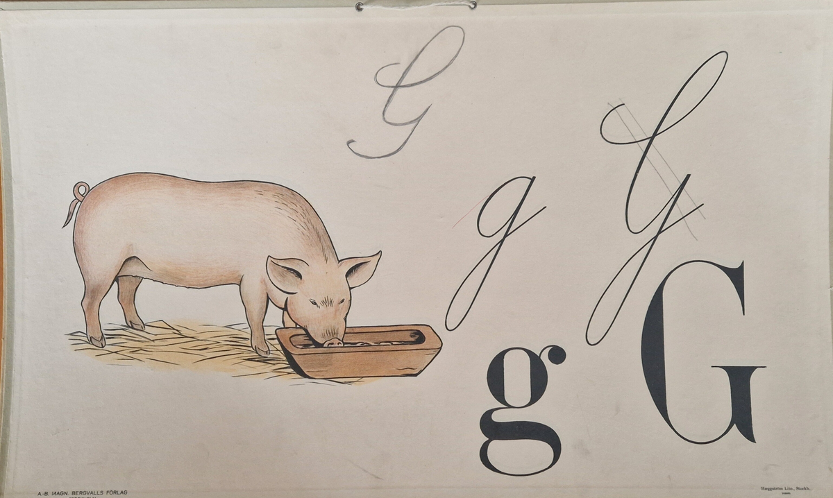 32 st skolplanscher. Gåva av Ing Mari Hedebrand, Tegelbruksgatan 48 B, Sundsvall. Haeggström Lito., Stockh. 243665.A.-B. Magn. Bergvalls förlag, Stockholm. Planscherna har två metallöglor. 