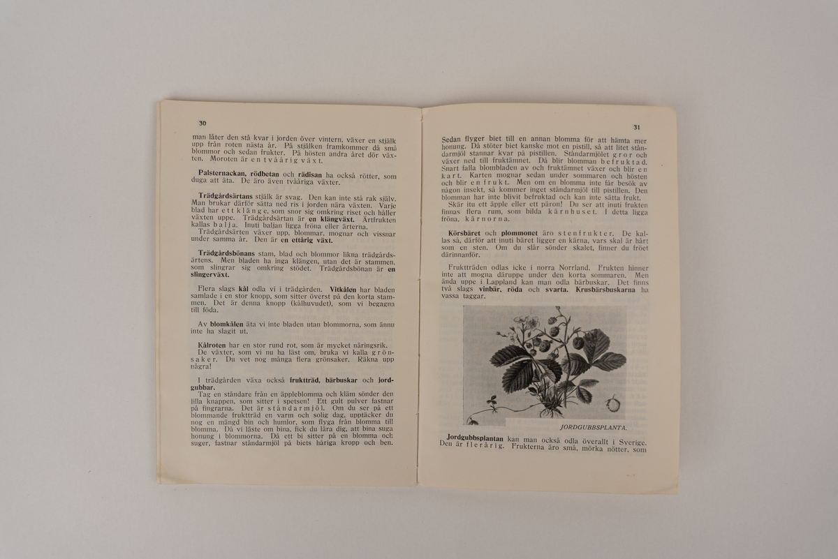 En skolbok med beige omslag, innehållande både text och illustrationer.