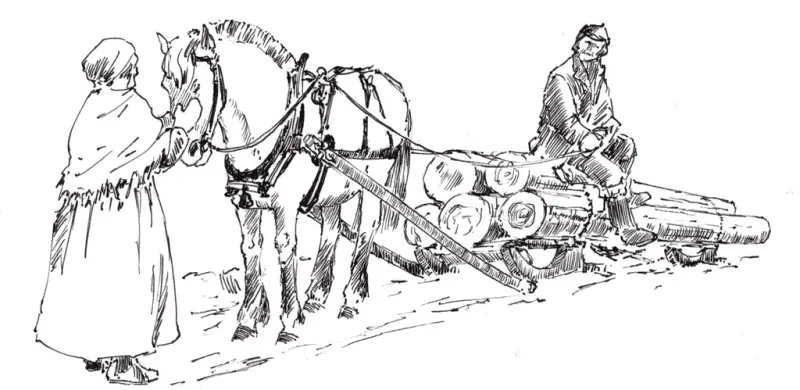 main article image