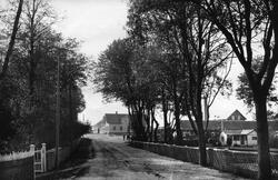 Burgsvik