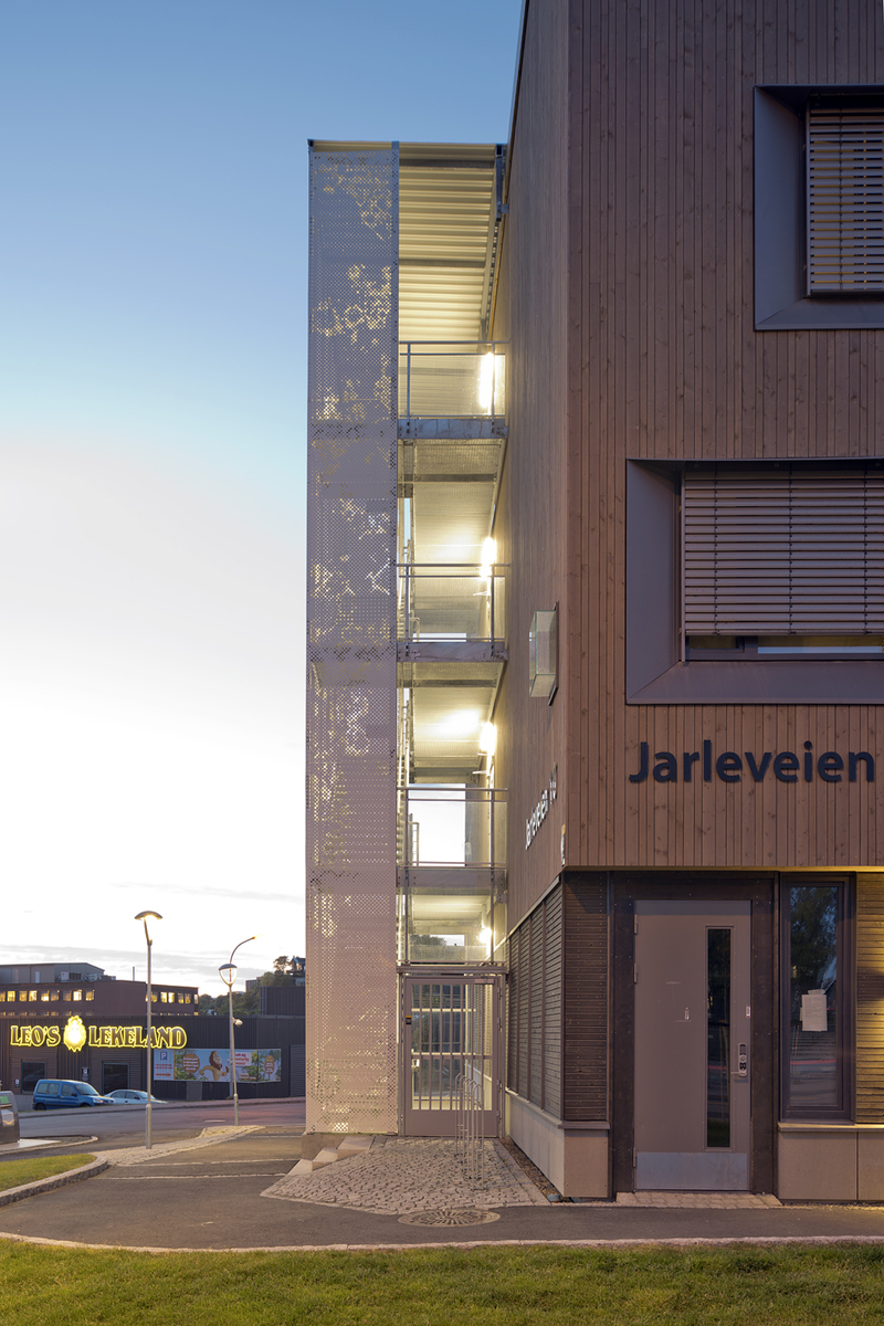 Elektronmikroskopi av menneskehjerne, nucleus accumbens.