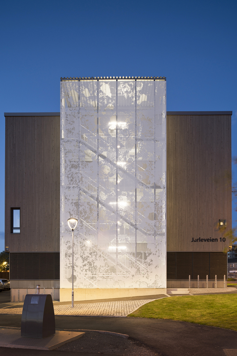 Elektronmikroskopi av menneskehjerne, nucleus accumbens.