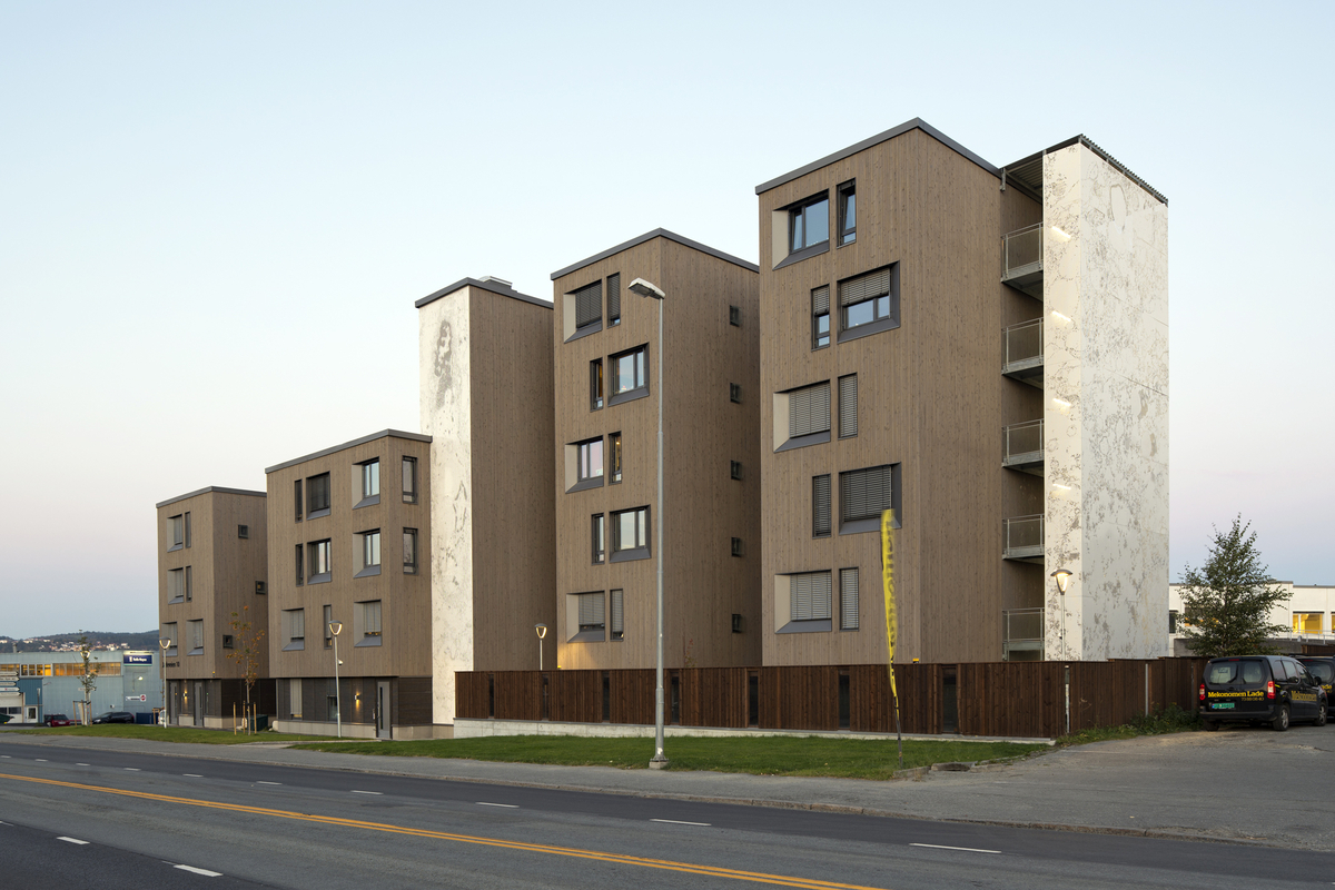 Elektronmikroskopi av menneskehjerne, nucleus accumbens.