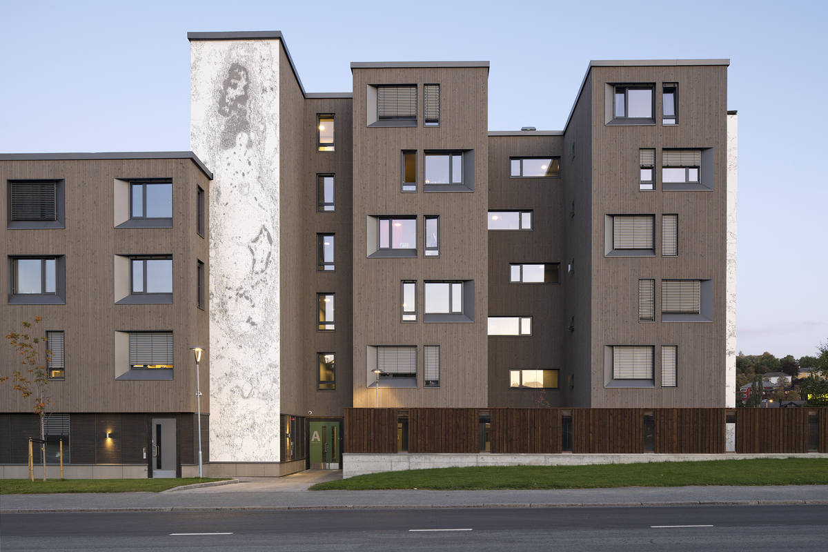 Elektronmikroskopi av menneskehjerne, nucleus accumbens.