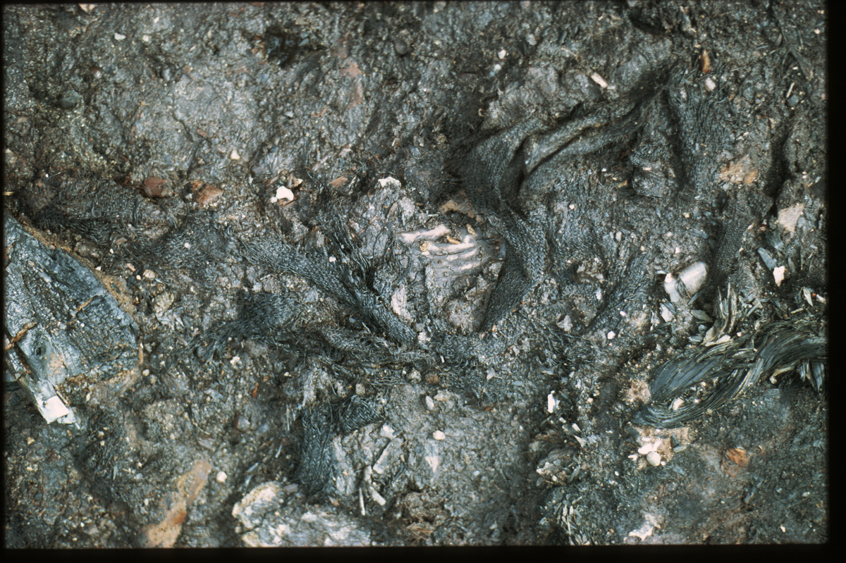 detail of hook/Bygning 66