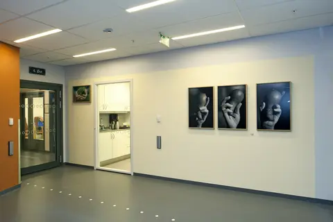 Handen [Fotografi]