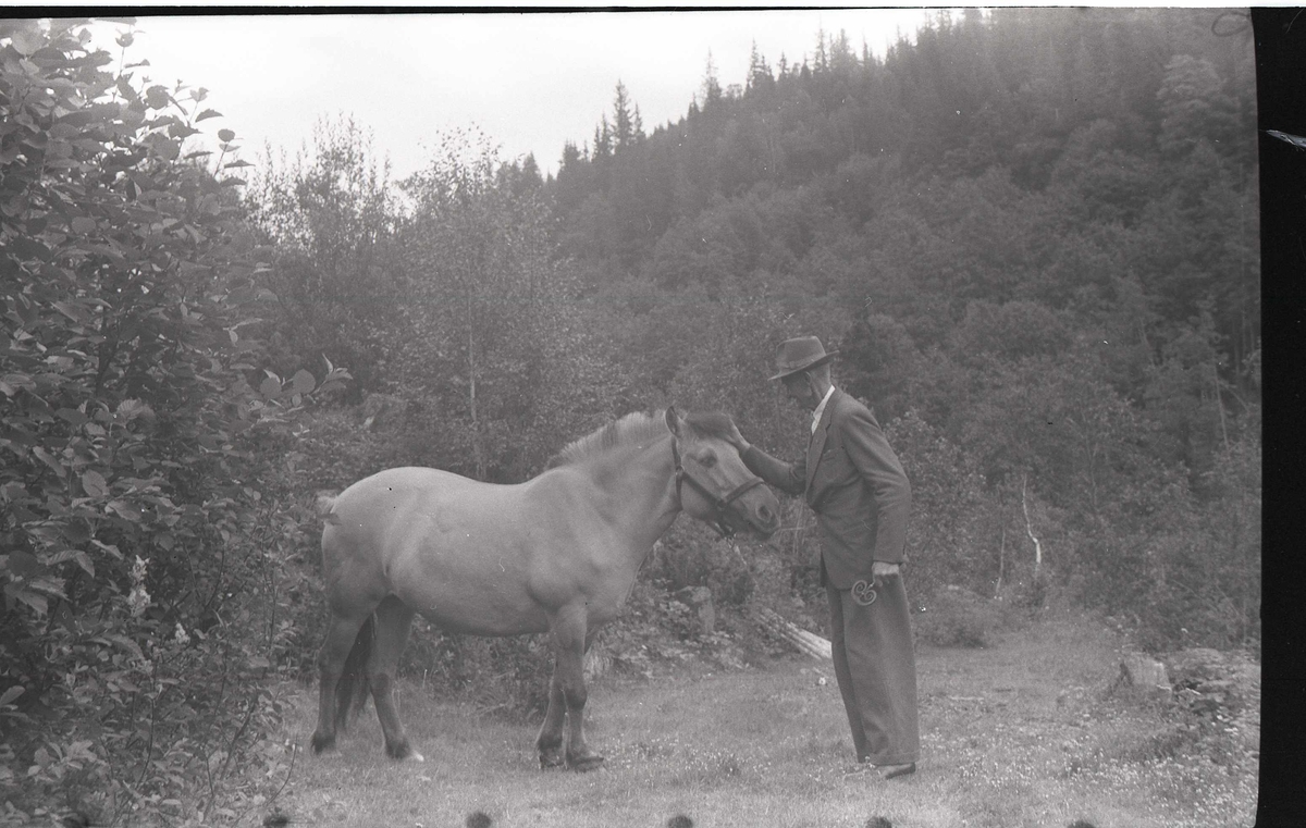 Foto/negativer fra Mandalen. Kjetil Kvaale og Knut Nordstoga, 1960. 3 stk.