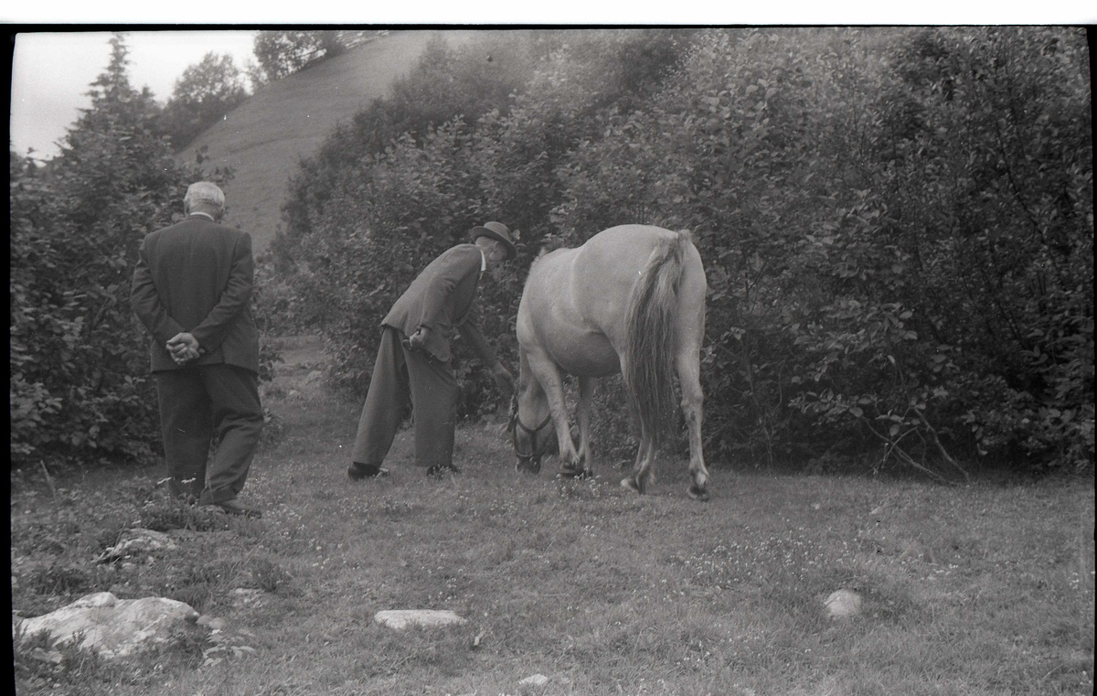 Foto/negativer fra Mandalen. Kjetil Kvaale og Knut Nordstoga, 1960. 3 stk.