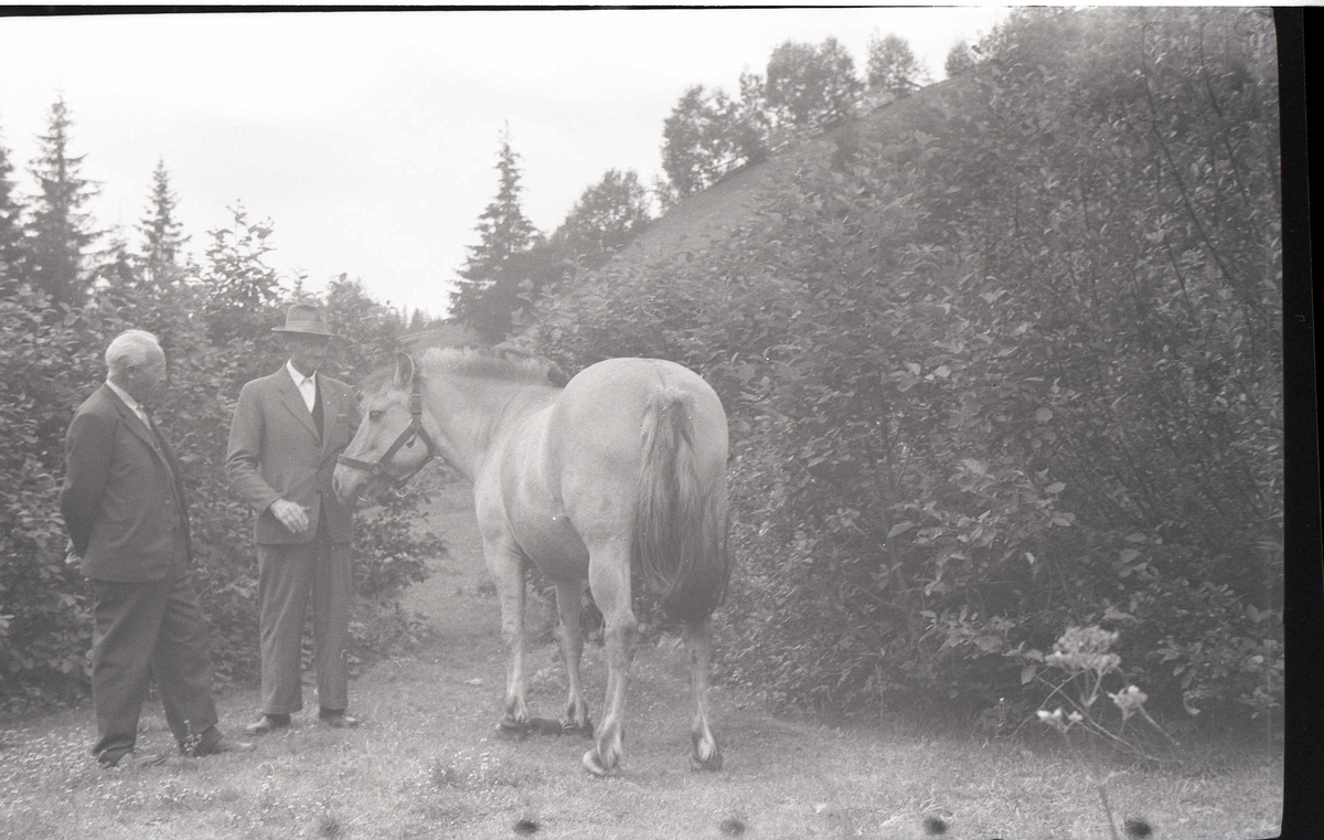 Foto/negativer fra Mandalen. Kjetil Kvaale og Knut Nordstoga, 1960. 3 stk.