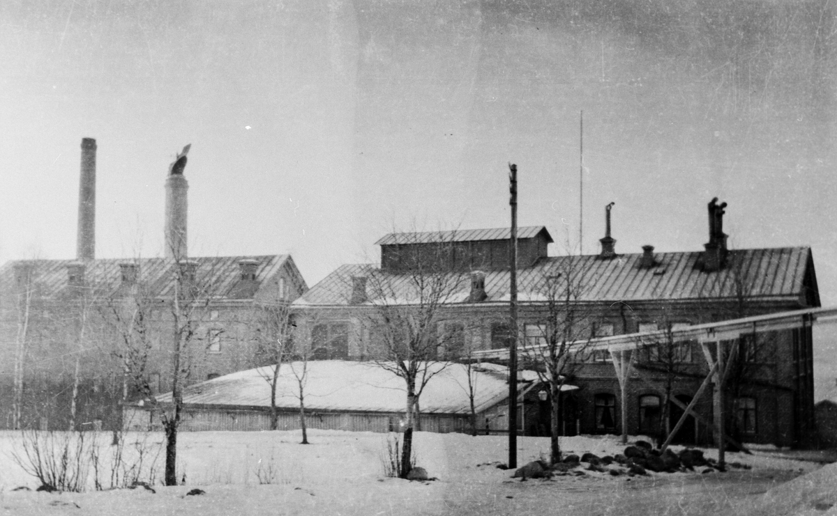 Bryggeri