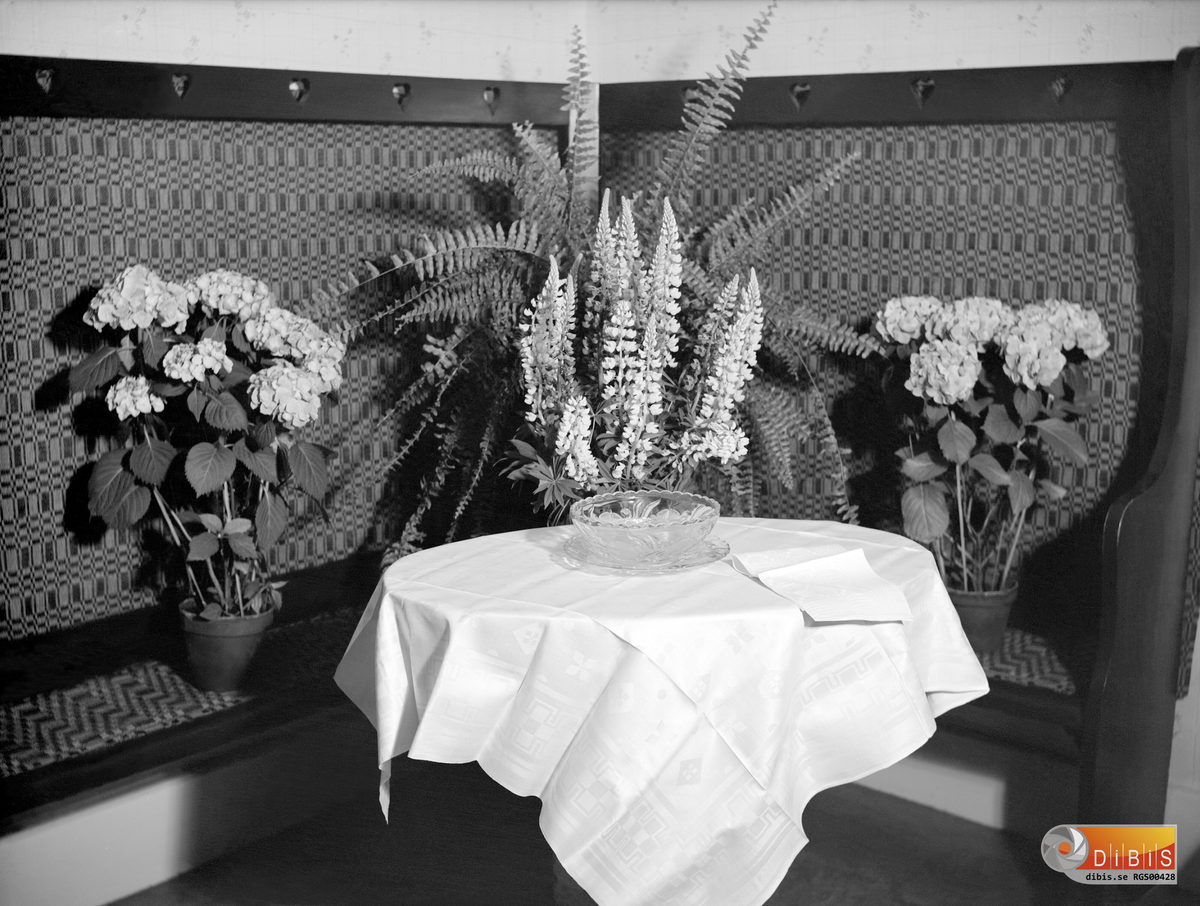 Blommor, Tre krukväxter och en vas med lupiner.