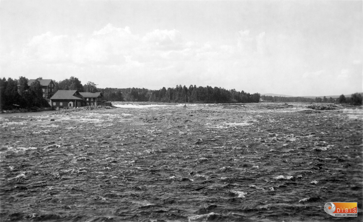 Bollnäs Broddlägret.