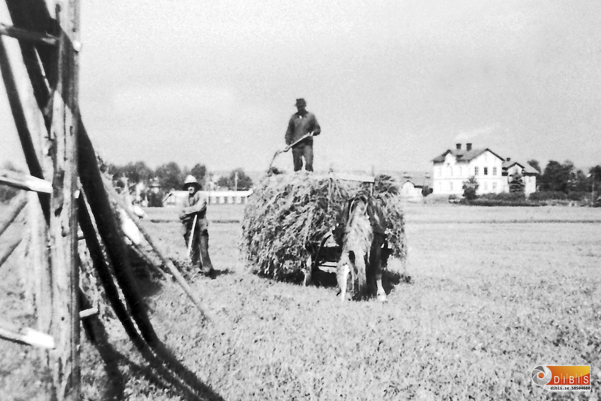 Bollnäs Hamre Gärdet