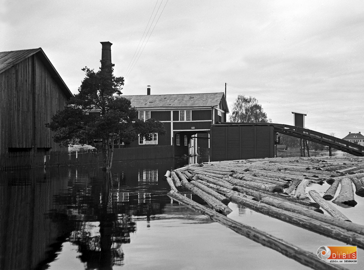 Bollnäs Långnässågen