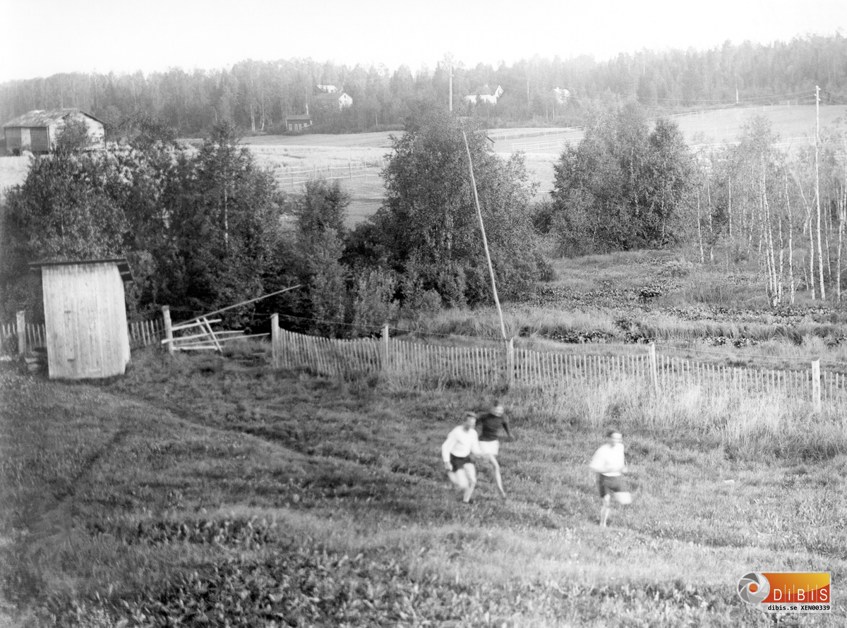 Terränglöpning