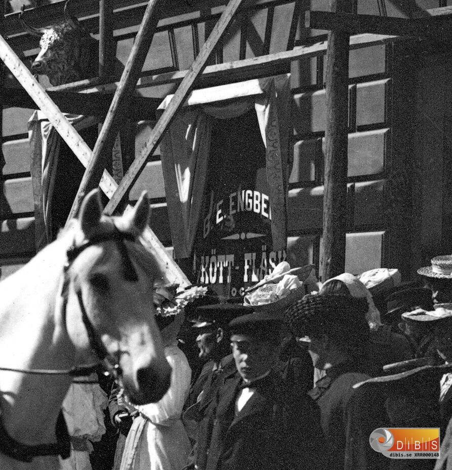 Barnens dag i Söderhamn 1906
Delförstoring av bild XRR00014A