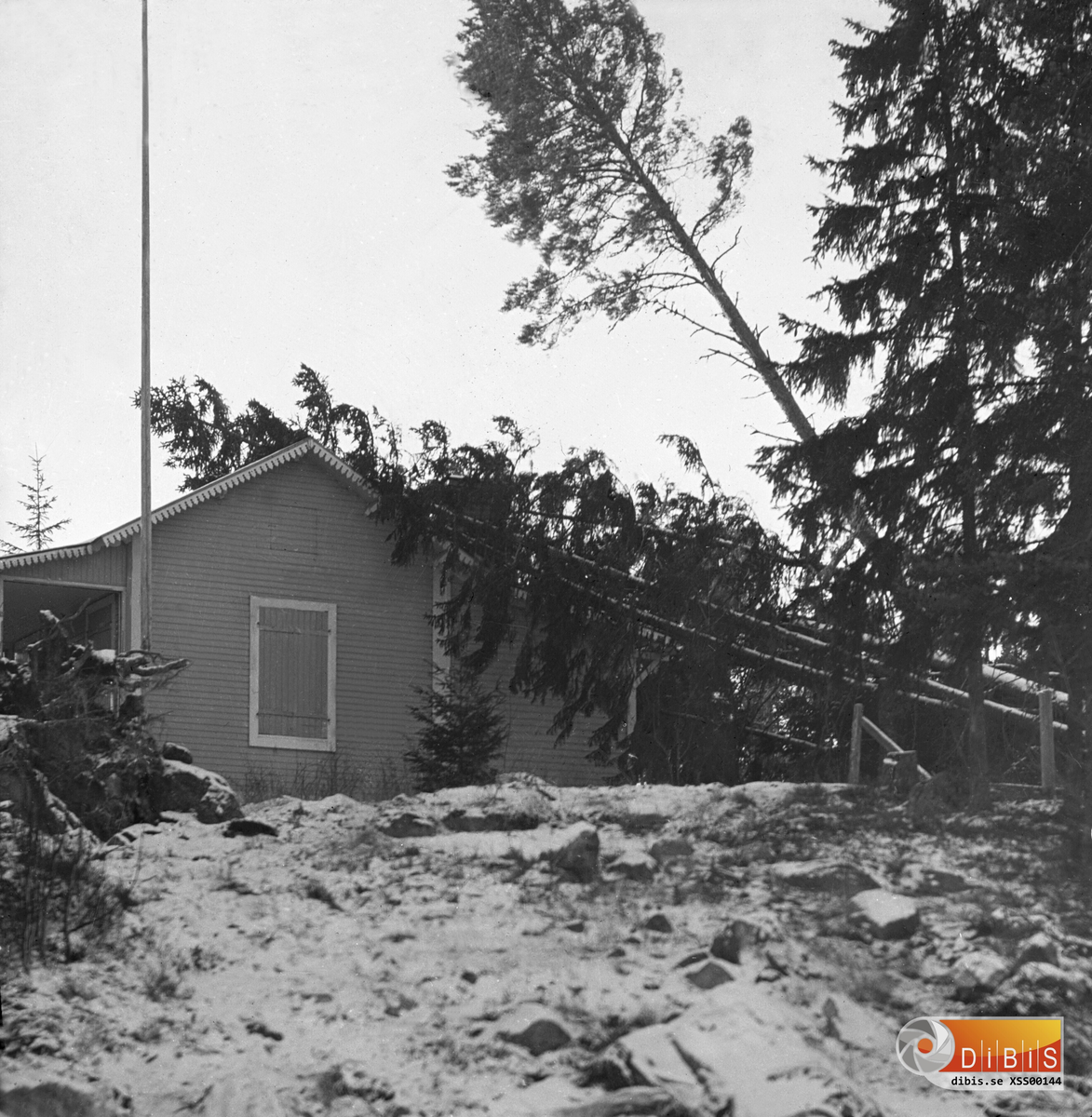 Gulludden, Norrfjärd, Söderhamn efter stormen.