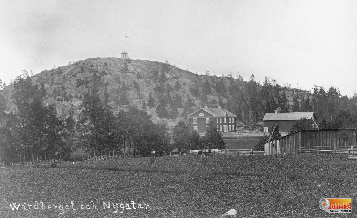 Nygatan och Vårdberget i Ljusne