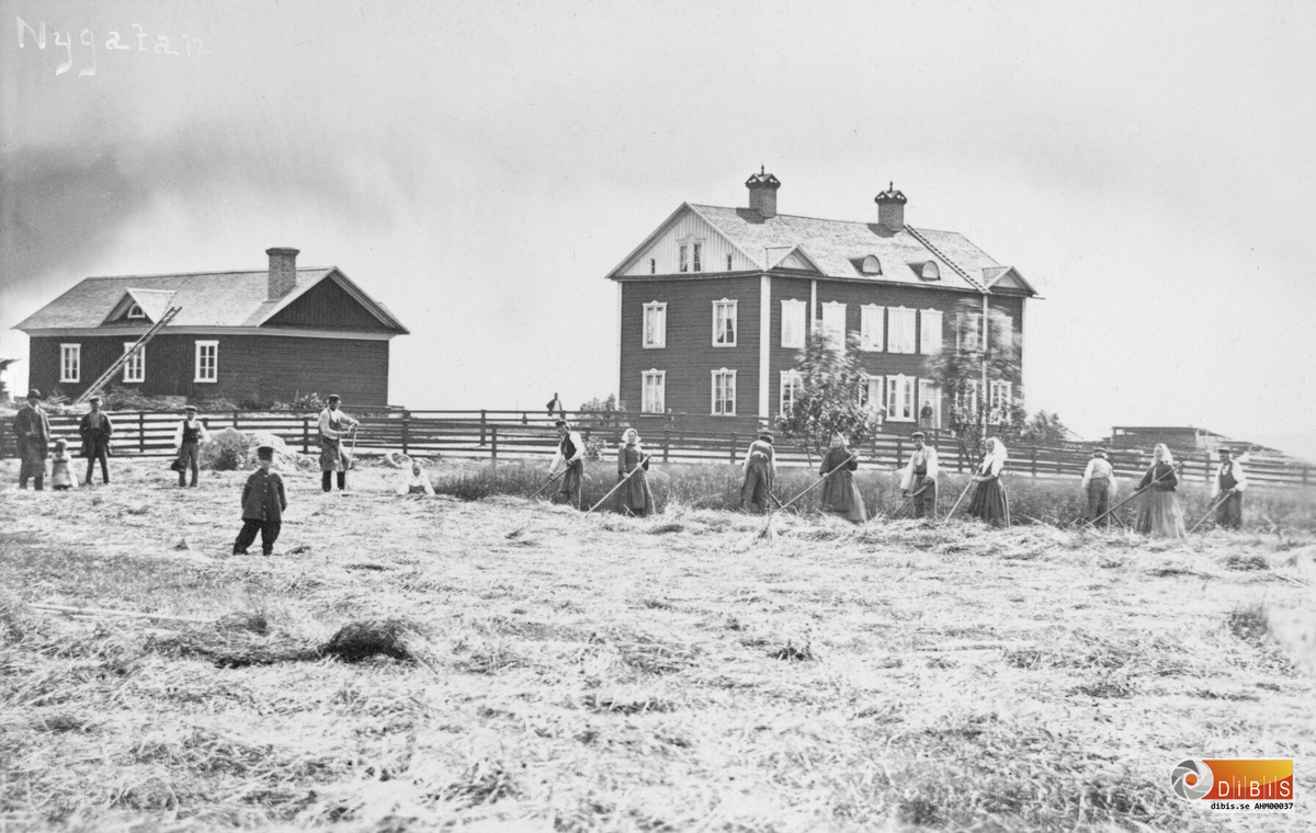 Slåtter framför arbetarbostaden vid Nygatan i Ljusne från 1860-talet.