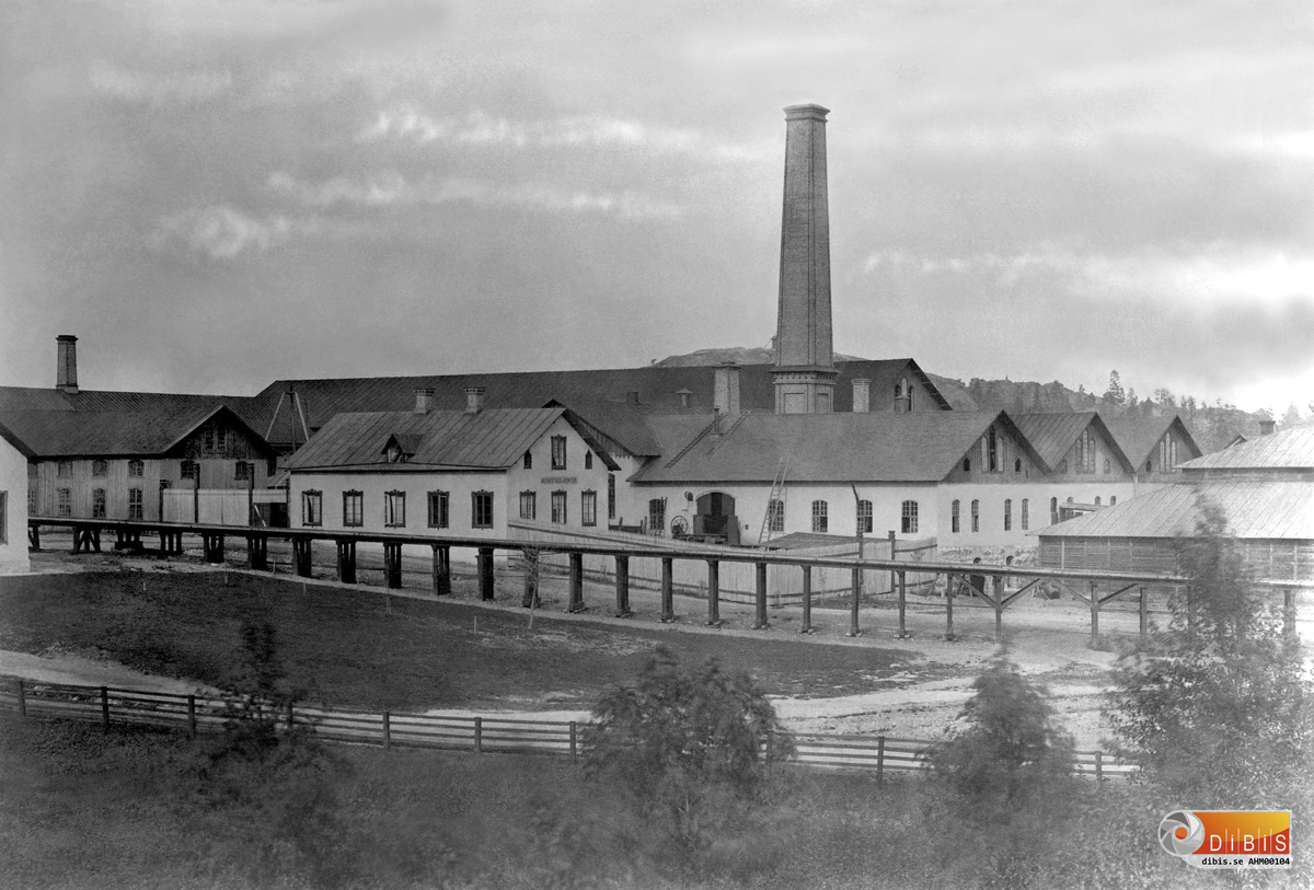 Mekaniska verkstaden i Ljusne, med gjuteriet anlagt 1876 under Wilhelm Kempes tid.
Fotografiet troligen från 1878-1880
Byggnaden längst till vänster är Modellverkstaden därefter kommer Verkstadskontoret.
Den största byggnaden är Mekaniska verkstaden och skorstenen tillhör Gjuteriet vilket är byggnaden som ligger med gaveln mot Verkstadskontoret.
De tre huskropparna till höger är närmast kameran Plåtslageriet, Sågspånsförbränningen och gasverket.
Den låga byggnaden längst till höger är ett Sågspånshus och bakom ligger Ångpannehuset.