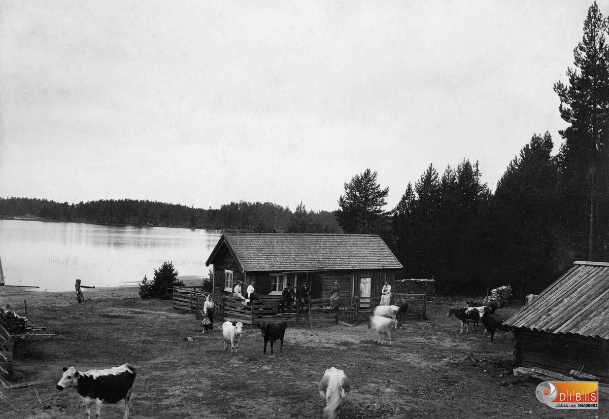 Högbacken, fäbodvall.