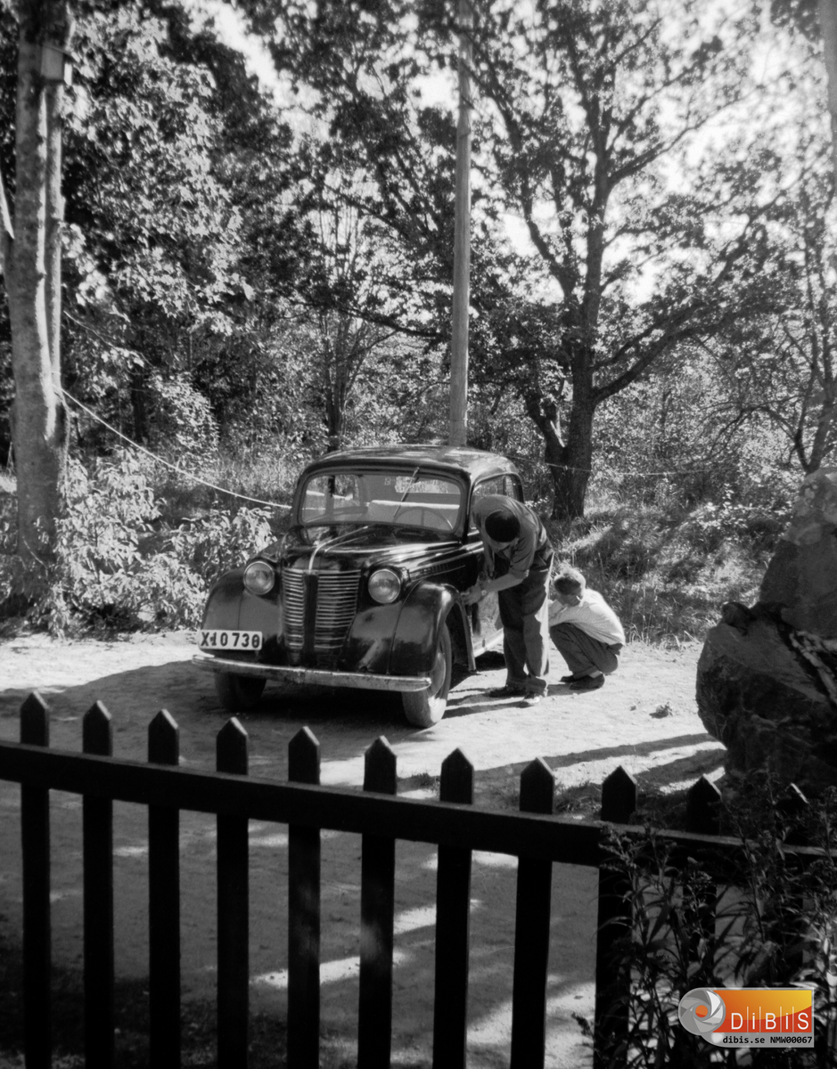 Tvättning av bil, Opel Olympia -39
Johan ÅKE Wijk
ROLF Åke Wijk