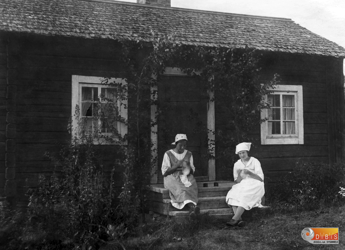 Femsmyra fäbod mellan Villsjön och Bergviken.