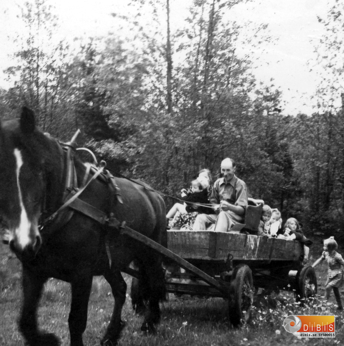 Här kommer Dagmar Svedjevik och Erik Svedjevik med ett lass småttingar till Femsmyra fäbod år 1945.