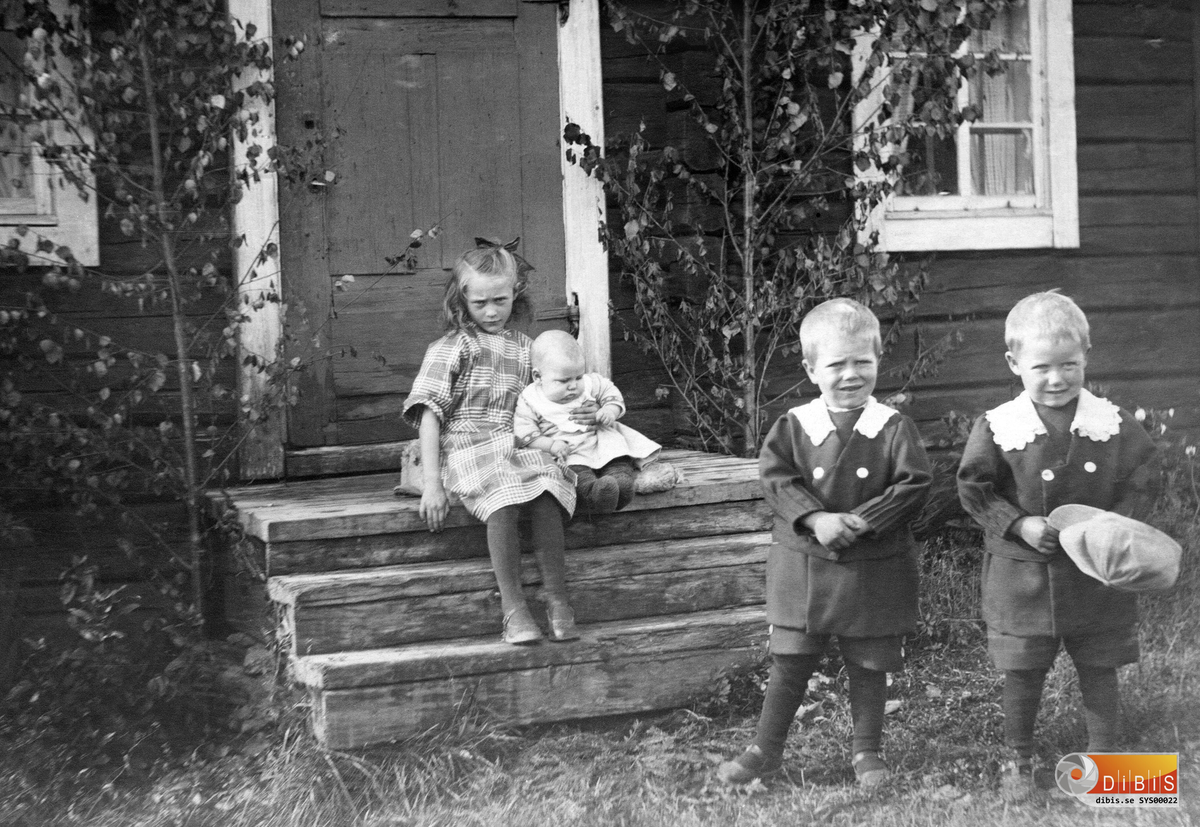 Femsmyra fäbod mellan Villsjön och Bergviken.