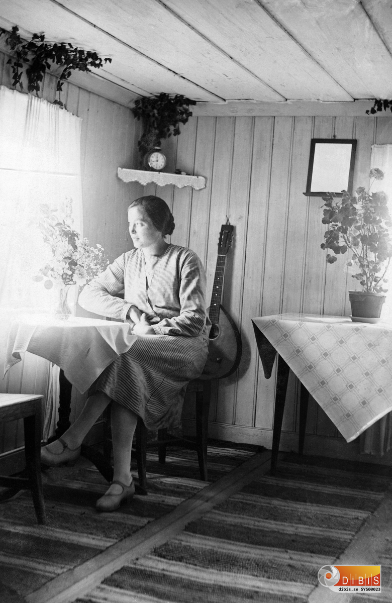 Femsmyra fäbod mellan Villsjön och Bergviken, interiör.