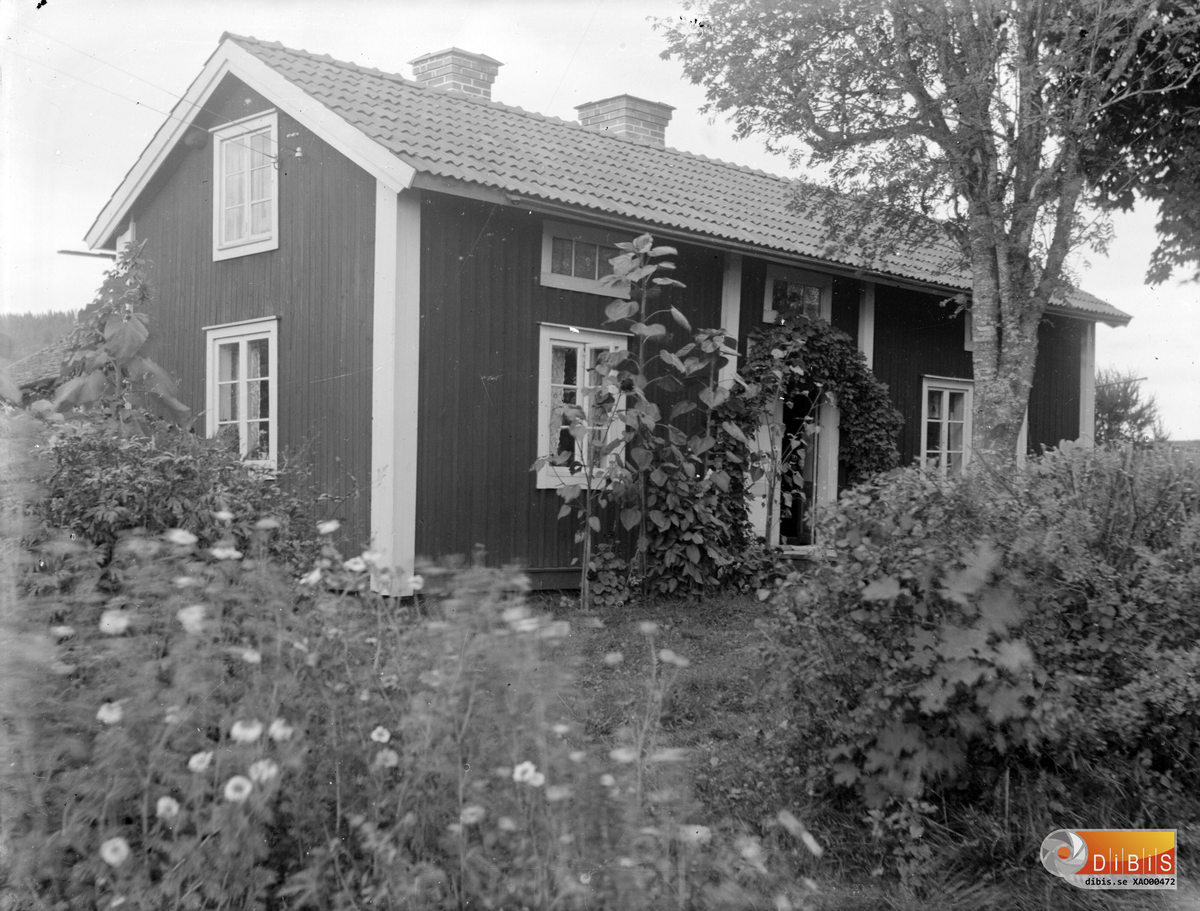Dombro i Mo.
Anna Östlunds hem.