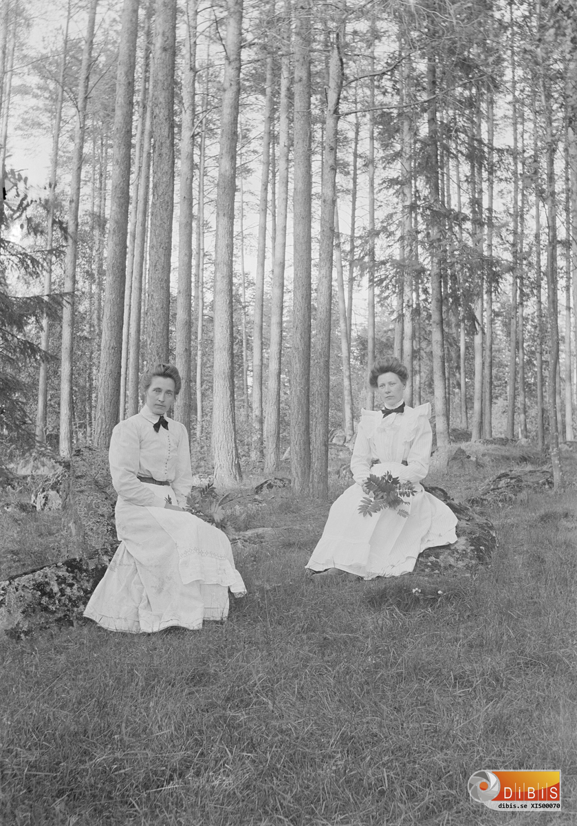 Två damer i tallskog.