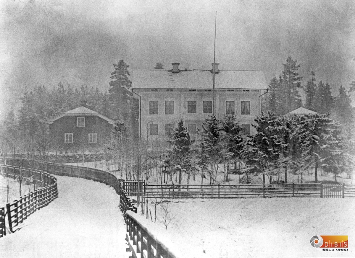 Herrgården i vinterskrud.