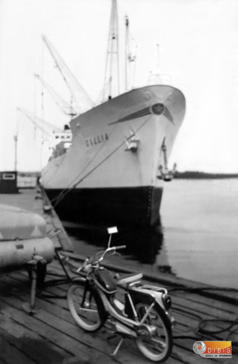(Motor Ship) M/S Gallia lastar massa i Vallvik, 1964-04-26, till Spanien.