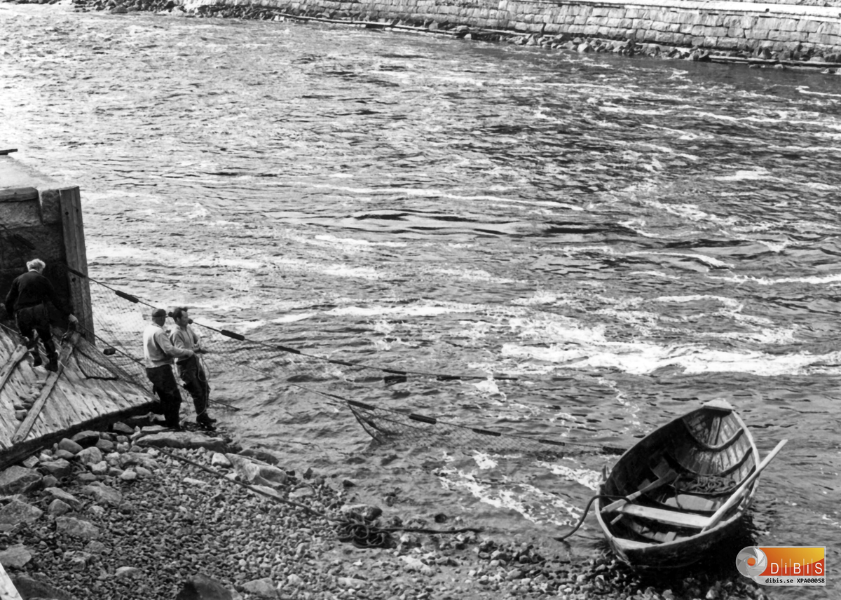 30-6 1970
Laxfiske pågår vid Slaggvarpet Ljusne Söder vid gamla hyttan. Det är Erik Nilsson jordbruket, Erik Skoglund Sörljusne och Bengt Blomkvist Sörljusne som drar not.

”Och kunde jag en gång få bliva resenär och fri från allt besvär. Jag tror ändå att min längtan skulle gå till Ljusnans stränder”.

Dessa rader är tagna ur en liten dikt som en smed här på Ljusne skrev en gång: ”Vid Ljusnans stränder” av Axel Åkerberg.
Han skrev många fler bra dikter.