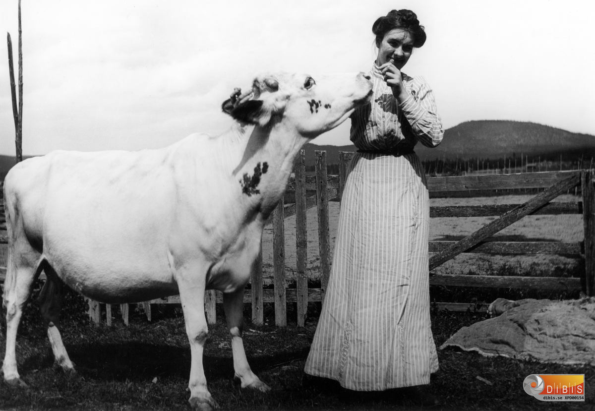 Jenny Lind med "Linna" och Höleklack i bakgrunden.
