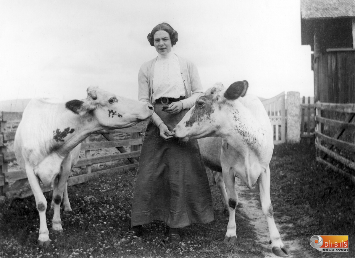 Maria Lind och korna vid grinden.