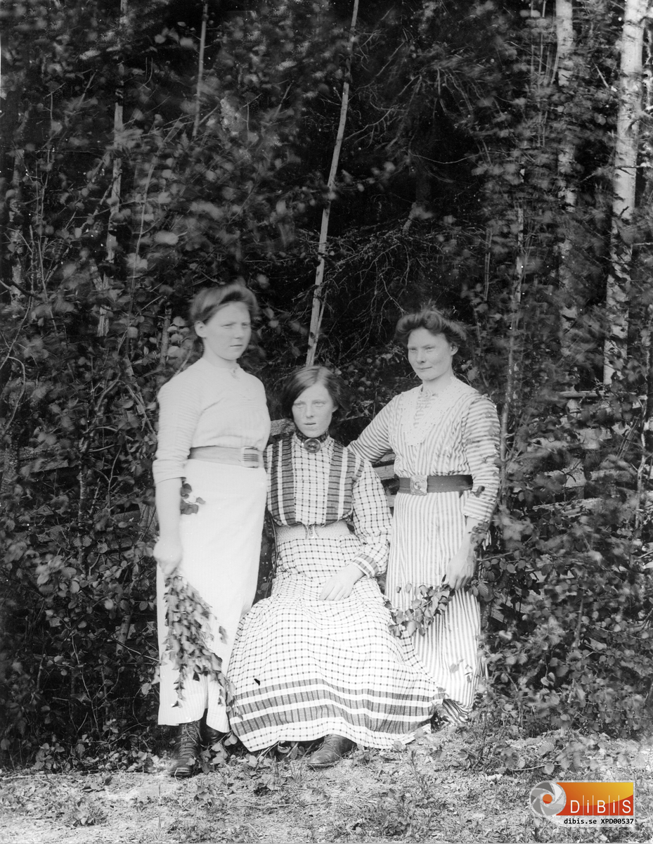 Tre okända flickor med lövruskor,
(även 536)