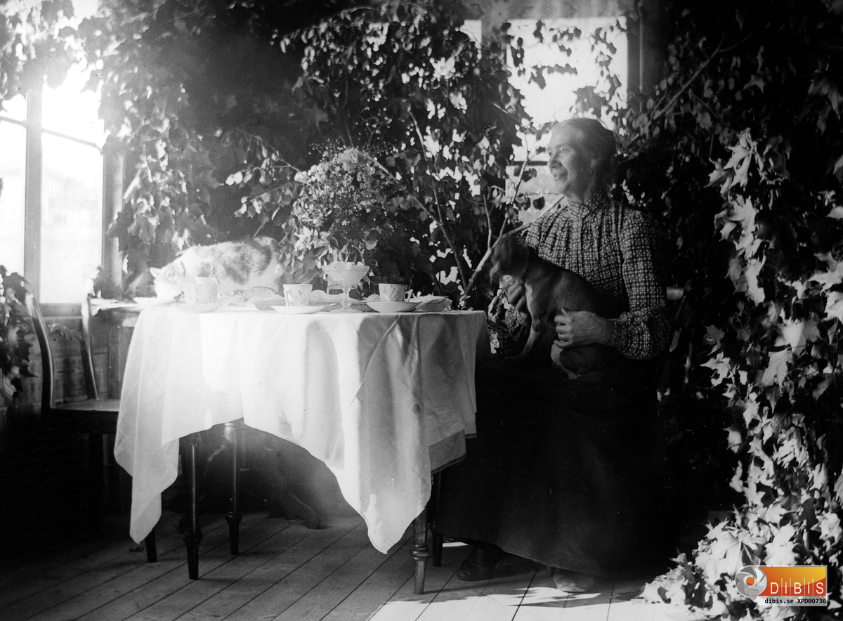 Kvinna vid ett kaffebord, hund i knäet och en katt som lapar grädde på bordet. Fullt med gröna växter.