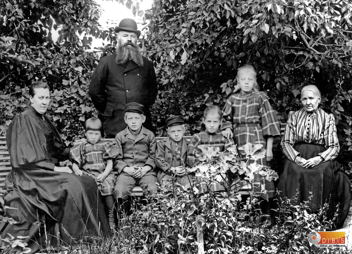 Bollnäs 1897. Familjen Lefren, deras gård, se nr 1047.